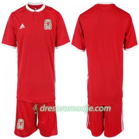 Wales Dres Dječji Domaći 2018/19 Kratkih Rukava